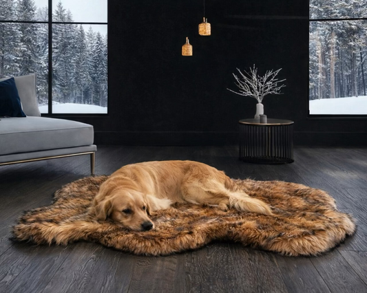 Pup Rug — Curve Sable Tan