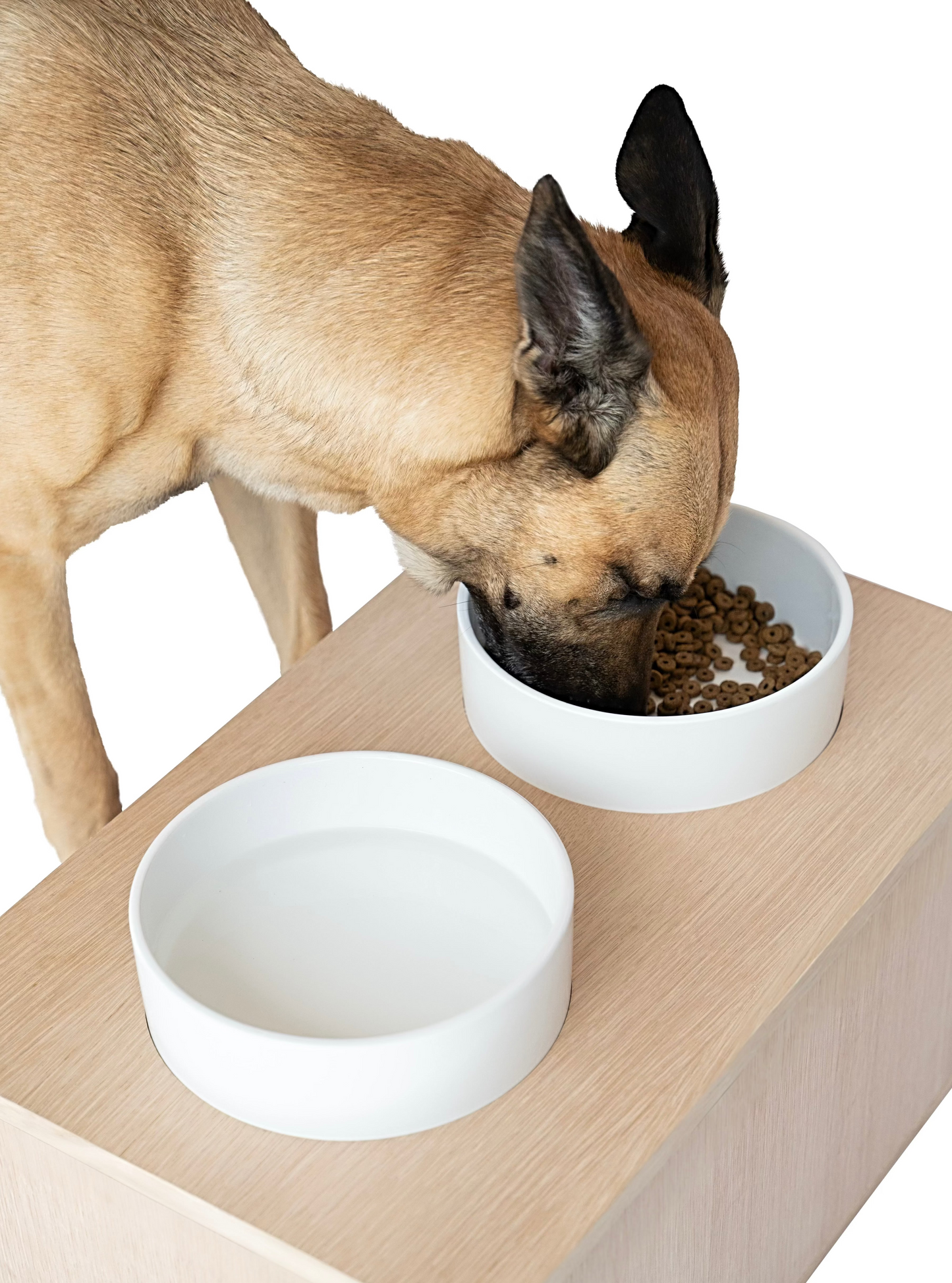 Bone Appétit Buffet