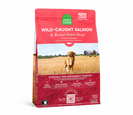 Wild-Caught Salmon & Ancient Grains Dog Kibble
